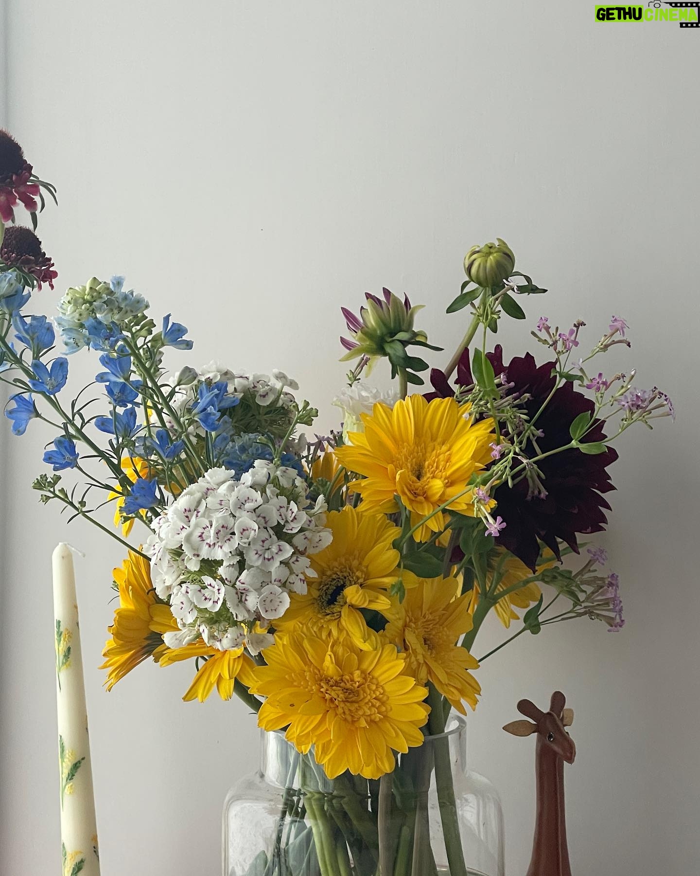 Mandy Tam Man-Huen Instagram - All the beautiful things that made my days🤍💐