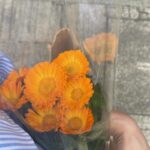 Mandy Tam Man-Huen Instagram - All the beautiful things that made my days🤍💐