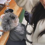 Mandy Tam Man-Huen Instagram - 多謝你喺生命最後嘅三個月陪伴了我們 正正是因為遇上了你很短的時間 喺我心目中，你就好似一個三個月大嘅初生嬰兒 而忘記了其實你已經12歲了，半個老婆婆了 發生得太突然 當我仲以為在我的未來一定佈滿你的身影 喺發生到你離開只係短短五日嘅時間 真係未準備好講再見 其實永遠都唔會準備好 但係我深信你選擇進入我嘅生命 係為咗帶比我愛 ，而唔係遺憾同傷心 真的我好滿足好滿足可以遇到你 陪伴你行過嚟最後嘅一段路 有好好的擁抱過你愛你錫你 多謝你寶貝，亨亨 我依然好掛住你 會將你留下嘅愛好好地傳遞比你嘅朋友同我自己🤍 我愛你 再見，下次再見 #15042024 #loveyouforever