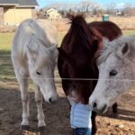 María Conchita Alonso Instagram – Reposted from @emmateu 

The sweetest thing… 😍💓🐴 

Love is the Universal language, no words needed 💕

This precious moment between a toddler and his dearest angels warmed my heart ❤️
Just look how all the horses rush to meet him and how sweetly they greet their dearest boy by giving him the gentlest headbutt … pure love and adoration, just priceless 😍💕

☆

The most beautiful things in the world cannot be seen or touched, they are felt with the heart. – Antoine de Saint-Exupéry, The Little Prince ❤🐾

☆

#sweet #adorable #pure #heartwarming #precious #Unconditionallove

.

.

.

Heartwarming vid via sunny hetrick on TT, please DM for credit or removal 🙏🤍