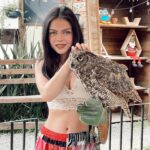 María José Mariscal Instagram – cosechando sabiduría