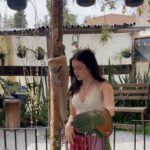 María José Mariscal Instagram – cosechando sabiduría