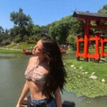 María José Mariscal Instagram – 🇯🇵🎋