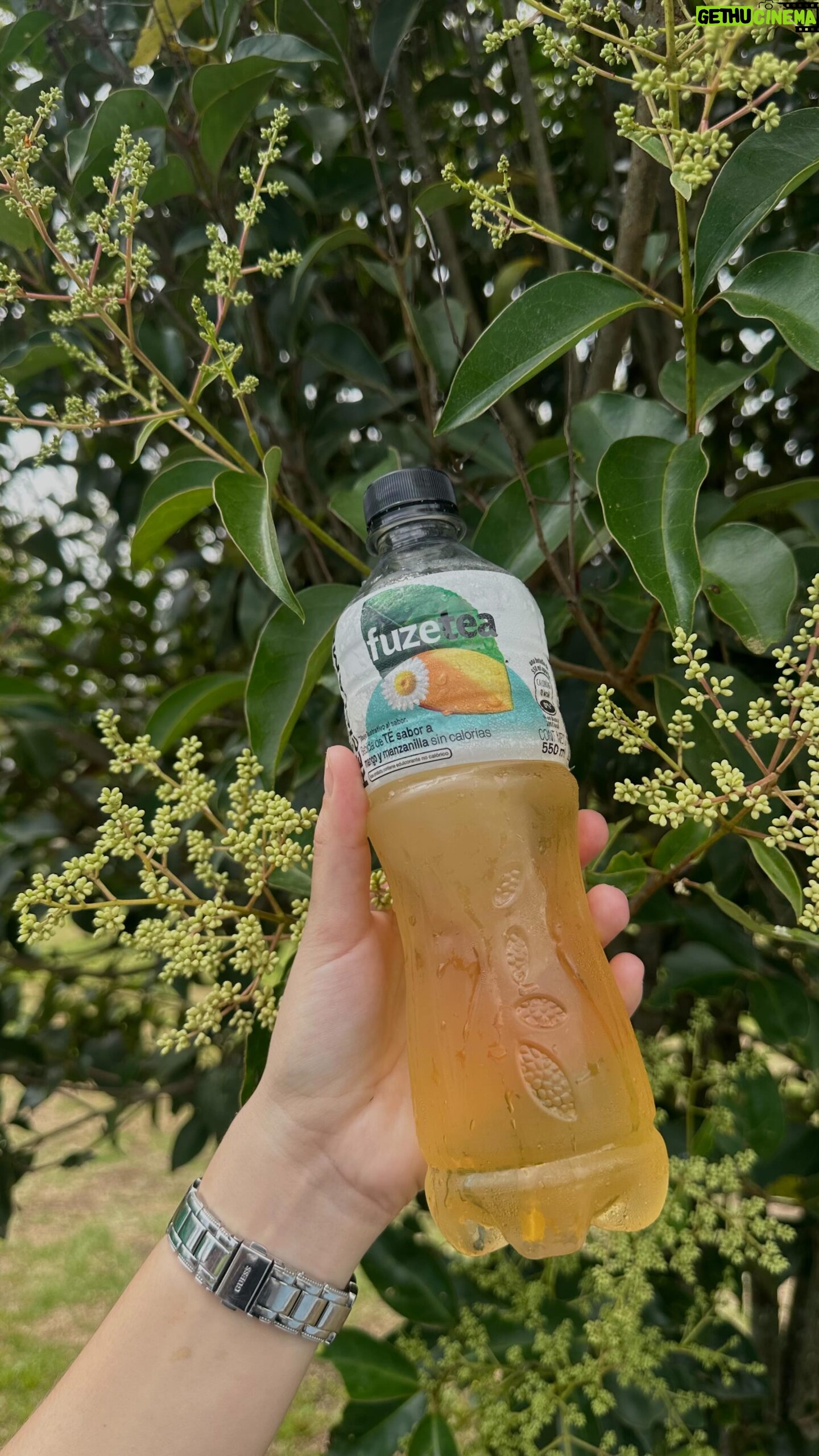 María Karla Gómez Instagram - En esos días de trabajo intenso, FuzeTea es mi compañero ideal durante un break 🍹✨. Relájate y recárgate para seguir con fuerza 💪 cada día. ¿Y tú, qué haces en tus momentos de break? @fuzetea_ec #HechoDeFusion #Publicidad