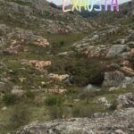 María Valenzuela Instagram – Mi amigo @juanmanuelcaballe me invitó 2 días a Tandil en la posada @laprotegidatandil para DESCANSAR!!! Descansar??? Me llevó a conocer la cascada y me hizo subir 40 pisos de ⛰ me duele hasta el cabello! Creo que su intención era asesinarme así me reemplazaba en @tomdickyharryok pero no lo logró! Sigo en la comedia 🎭 con mi personaje de la señorita Potter! Juan no me invites más a descansar porque no 👎 te creo! Igual la pasé genial! 😂😂😂
