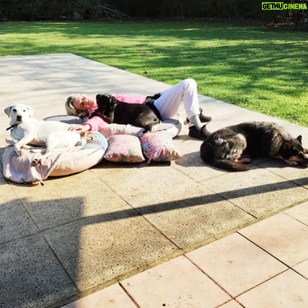 María Valenzuela - 627 Likes - ¡Felíz día pequeñxs! Lxs amamos con todoooo lo que tenemos y más 💜🐶🐶🐶🐶🐶💜
#Pipa #Nina #Alain #Kika #Roma (por número de llegada 📸 *Roma y Kika son parecidas en las fotos... el lengüetazo es de Roma 😋 y la otra Morocha con cara de modelo es Kika🤩)
#seresDeLuz #superiores #amorosxs #incondicionales #alegres #compañerxs #fieles 🥰🥰💫✨💫✨