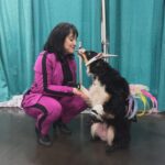 Mara Wilson Instagram – Fun at #GalaxyConColumbus! Hanging out with @kathleenherles (AKA Dora the Explorer), a cute stuffed cat, a truly creative Mrs. Doubtfire cosplayer, and an adorable dog named Sidney!