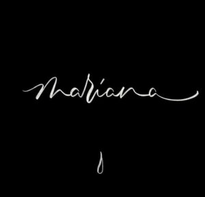 Marcela Sabat Instagram - No hay palabras para describir tanto dolor. Cuando una madre sufre algo así de terrible, todas las madres de alguna manera sufrimos con ella. Todo el amor del universo para ti @mariana.derderian y tu familia 🙌🏻🙏🏻.

Lettering @pamebri