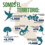 Marcela Carvajal Instagram - Sabían que hoy se celebra el día mundial de la biodiversidad!! Y Colombia es una Megapotencia!! Tenemos que aprovechar la #cop16colombia que ya se acerca y entre todos parar la destrucción que se está cometiendo en estos momentos del banco de vida que tiene nuestro país. Por ahora celebremos que Colombia es MEGADIVERSA y ayúdenme a replicar esta noticia. #happybiodiversityday #colombiamegadiverse @wwf_colombia