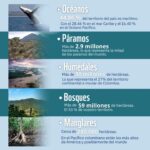 Marcela Carvajal Instagram - Sabían que hoy se celebra el día mundial de la biodiversidad!! Y Colombia es una Megapotencia!! Tenemos que aprovechar la #cop16colombia que ya se acerca y entre todos parar la destrucción que se está cometiendo en estos momentos del banco de vida que tiene nuestro país. Por ahora celebremos que Colombia es MEGADIVERSA y ayúdenme a replicar esta noticia. #happybiodiversityday #colombiamegadiverse @wwf_colombia
