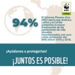 Marcela Carvajal Instagram - Sabían que hoy se celebra el día mundial de la biodiversidad!! Y Colombia es una Megapotencia!! Tenemos que aprovechar la #cop16colombia que ya se acerca y entre todos parar la destrucción que se está cometiendo en estos momentos del banco de vida que tiene nuestro país. Por ahora celebremos que Colombia es MEGADIVERSA y ayúdenme a replicar esta noticia. #happybiodiversityday #colombiamegadiverse @wwf_colombia