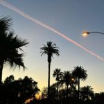 Marcela Carvajal Instagram – Living in paradise. #today #presentmoment