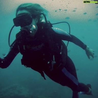 Marcela Carvajal Instagram - Mi #tbt es Marcela buceando por las aguas del caribe #diving in Caribbean waters