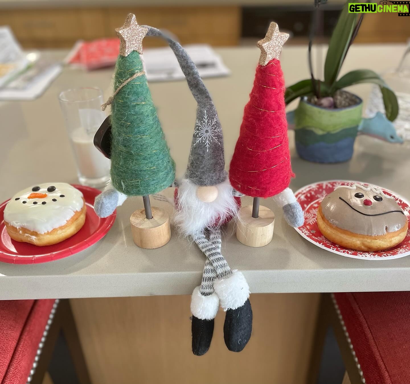 Marcela Carvajal Instagram - Mi esquina navideña. My Xmas corner. Feliz navidad a todos los que ven este post. Quieres mostrarme tu esquina navideña favorita? No tiene que ser grande, la idea es tener una navidad verde y no generar más desperdicios!! Do you want to send me your favorite Xmas corner. It doesn’t have to be big. The idea is to have a green Xmas and don’t waste anymore staff. @wwf_colombia