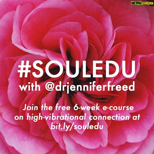 Marcia Cross Instagram - My friend Jennifer is offering a meaningful and FREE course!! Don’t miss it!! #drjenniferfreed #soledu