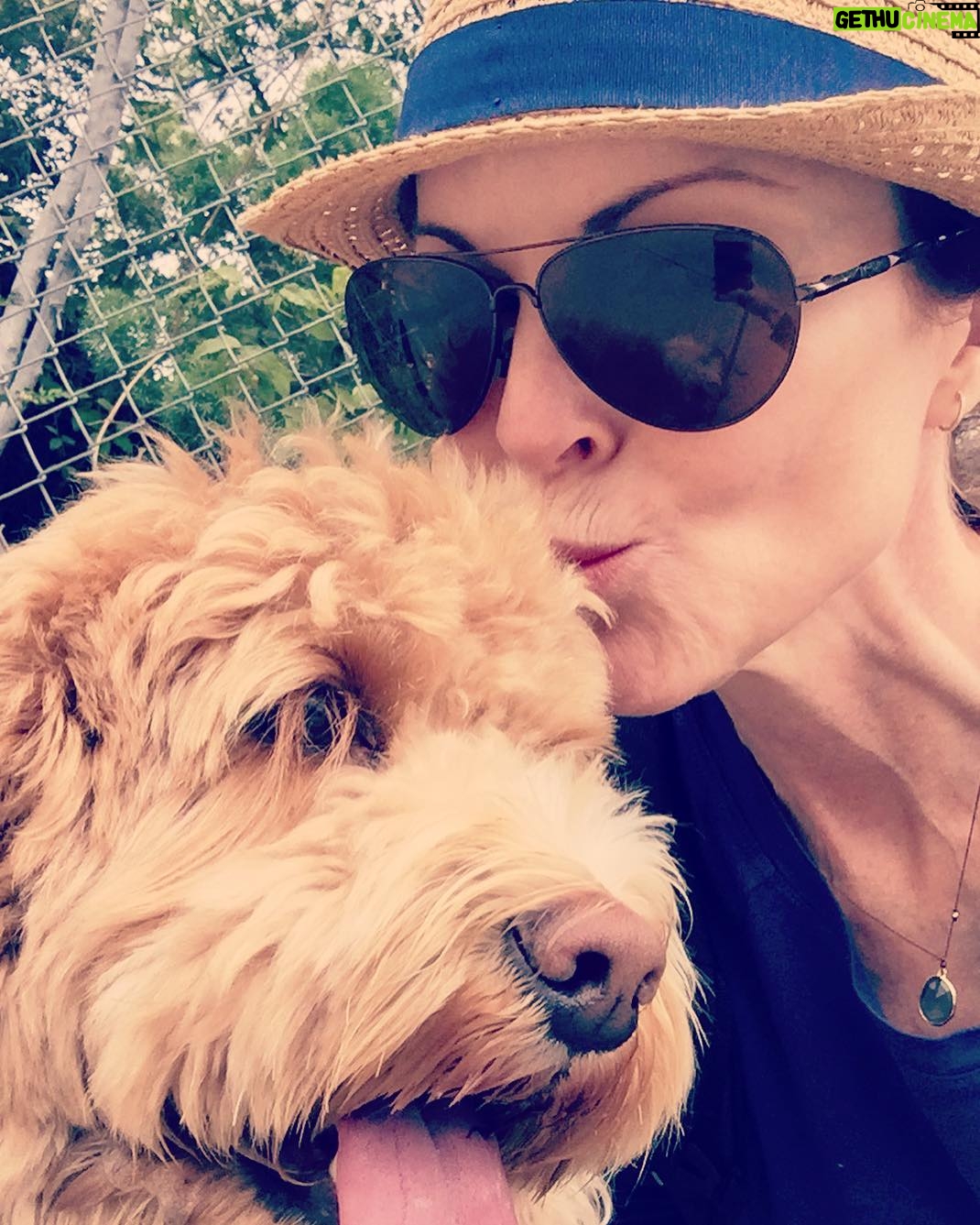 Marcia Cross - 10.6K Likes - Happy Sunday!!
Love me and Pip
💗🐶
#labradoodle #love