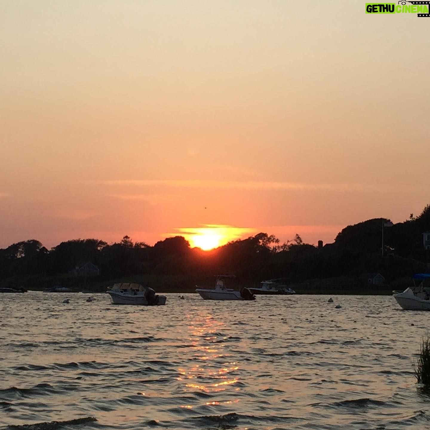 Marcia Cross - 8.3K Likes - As the day turns to night.
Cape Cod sunset.
#chatham #family #grateful