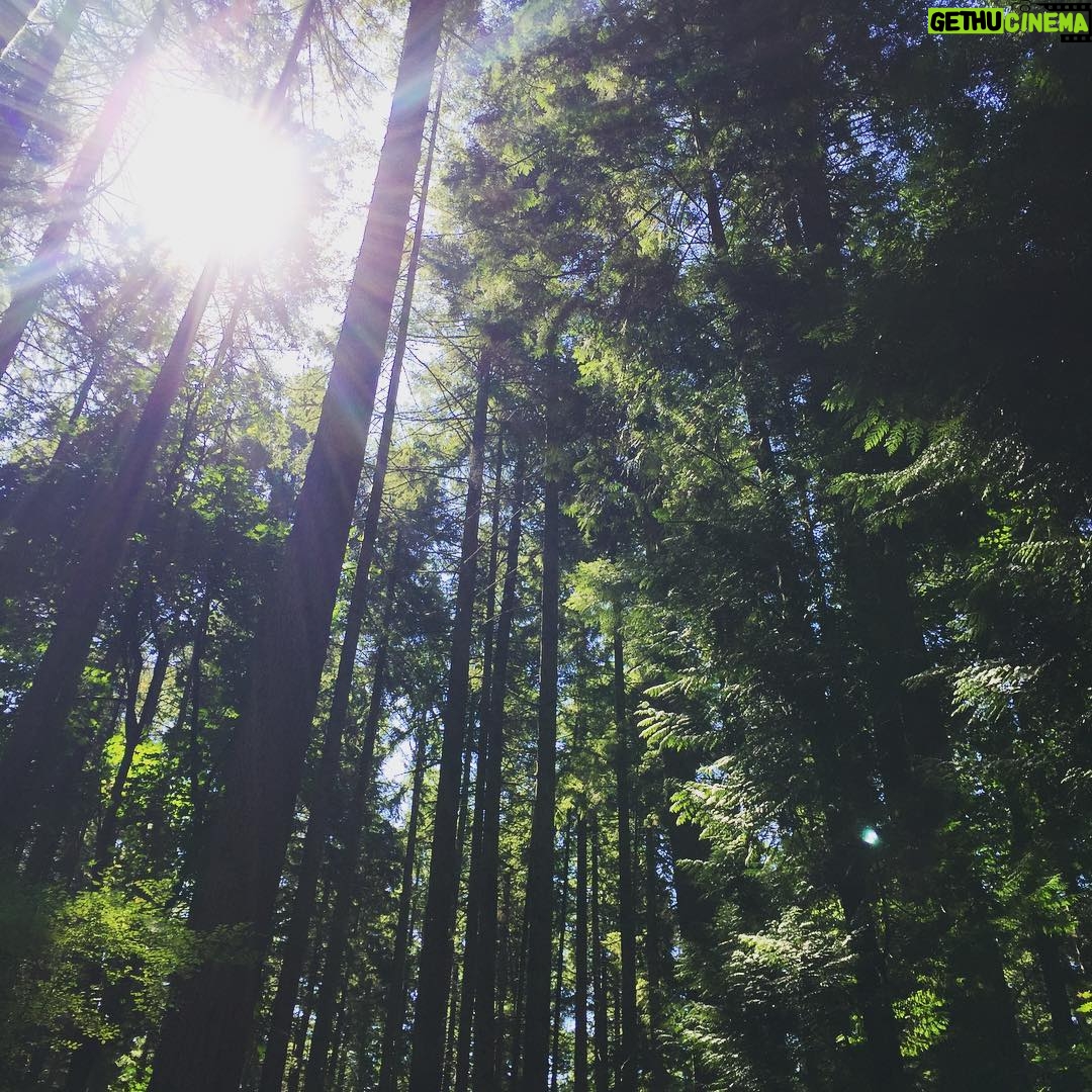 Marcia Cross Instagram - My happy place. #thewoods #vancouver #forestbathing🌲🌲🌲