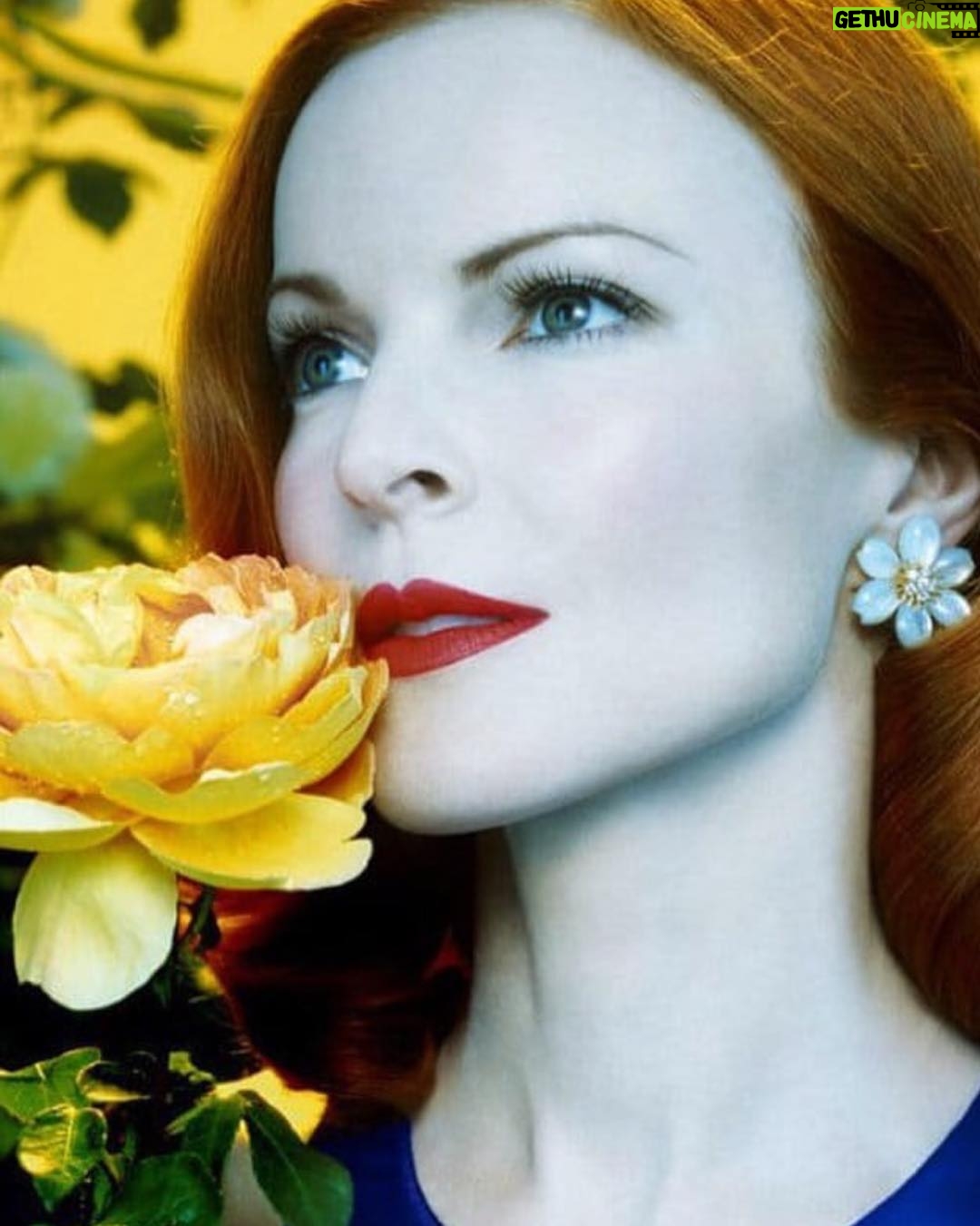 Marcia Cross - 23.4K Likes - Love this pic
And spring!
Thank you #dearmarciacross for posting!
#spring