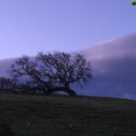 Marcia Cross Instagram - Morning pic ... #breathtaking #onlocation #treelover #love #santaynezvalley