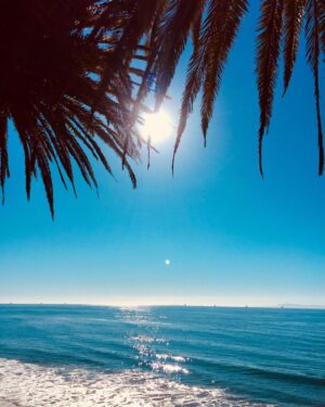 Marcia Cross Instagram - Eternally #grateful for my life on this beautiful planet. Xxoo m❤️