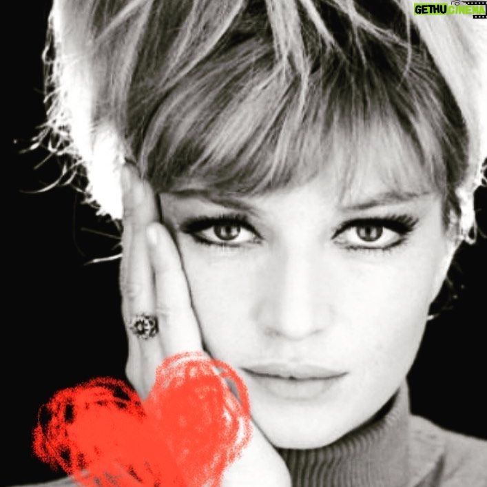 Margherita Buy - 2.9K Likes - Irraggiungibile!#monicavitti