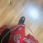 Margherita Vicario Instagram - GLORIA! tour in band inizia stasera a Cagliari e continua tutta l’estate fino a settembre, alternata a delle date con l’orchestra @lacorelli. Spero di vedervi in ogni dove. Canterò a gran voce. 🕊️🍉 Vi presento la band e la squadra che ho la fortuna di avere accanto: ai cori/ pianoforte e tutto l’amore che ho @micoltouadi_ alla batteria @davide_sollazzi al basso @pvrvpluie__ alle tastiere @nontranqua alle chitarreee @mi.ke.ma - ai suoni @edo.flac sul palco con noi @fajoenslow alla direzione generale @anastasiodada alla direzione musicale @giovannipallotti, @massimo_colagiovanni styled by @simonesifufurlan Grazie @vivoconcerti @andrearitrovato @francesco_vurro @carlopellegrino__ @metatronmgmt @martinocer martinocer @frappys e @nancy_merchandise a dischi e magliette nuove.