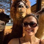 Margo Dumas Instagram - ✔️Обійматися з альпаками 🦙🤍 #alpacafarm 👉🏼 @merollabergueda