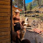 Margo Dumas Instagram - ✔️Обійматися з альпаками 🦙🤍 #alpacafarm 👉🏼 @merollabergueda