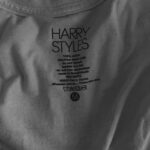 Margo Dumas Instagram - THE BEST CONCERT IN MY LIFE 🥹☄️ @harrystyles #harrystyles