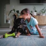 Mari Madrid Instagram - Since September 29, at 2:15pm there’s been an immense hole left in our hearts when our first doggy, best friend, and baby boy crossed the rainbow bridge at 14 years old. It’s impossible to articulate the amount of love we have for him, or this unforeseen amount of pain we feel with his passing. I actually don’t even remember a life without my best friend… every day, every habit, and every moment will have to be relearned. Until then we’ll keep thinking about all the beautiful people that felt his unconditional love and gave him love… and how he inspired us yet again with his perfect last day. How the clouds parted and the sunlight gently filled our living room. How the subtlest breeze was the only sound that filled our quiet home. How time stood still, rewound, and fast forwarded all in the same moment. Cocoboy — our boy, our old man… you did it. You beat so many obstacles. You lived a beautiful life. We’ll miss you dearly, think of you always, and love you forever. Cocoboy’s last day (some of these moments captured above): 7am morning walk with Baloo and Daddy 730am breakfast 8am playtime with Baloo, Numah and Daddy 830am goodbye kisses for Numah before she walks to school 1030am trip to the beach with Mommy and Daddy 12pm a bath from Mommy 1230pm broccoli treats from Mommy 1pm a dance party with Daddy and Mommy 145pm a nice nap 2pm a string cheese treat during my nap 215pm a peaceful, quiet, and beautiful forever sleep