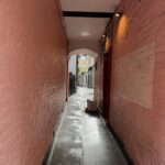 Mari Natsuki Instagram - #londondiaries #tunnel #alleyway #palpitate #walk このトンネルを行ったらブタにされるのかな....