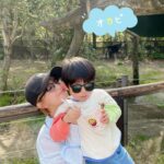 Mari Yaguchi Instagram - 今日は家族で、 ズーラシア行ってきました😊✨ お天気も良いし、 入口からテンションMAX！！ でも、園内が思ってるより広くて、 次男は途中で爆睡💤 長男は途中から抱っこ。 大人は出口でへっとへとwww ペース配分完全に間違えました😂✨ めっちゃ良い疲れなんですけどね😊✨ オカピさんをはじめ、 沢山の動物達がいたんですが、 私の一推しは、 ケープハイラックスです♡ めっちゃくちゃ可愛かった😍✨ 可愛すぎて写真撮れなかった😂💦 なぜー！？ また会いに行こっ🥹✨
