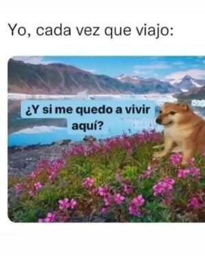 María Carámbula Instagram - Abarajamenlabañera 🌸