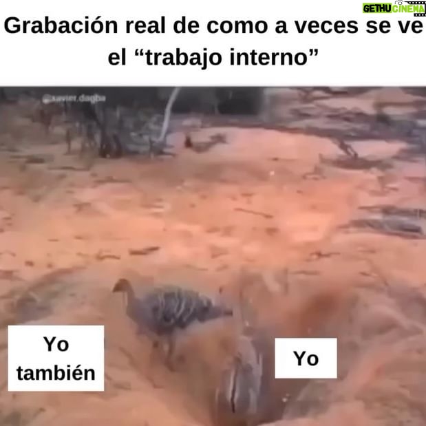 María Carámbula - 3 Likes - Regalame estas flores, gracias.
