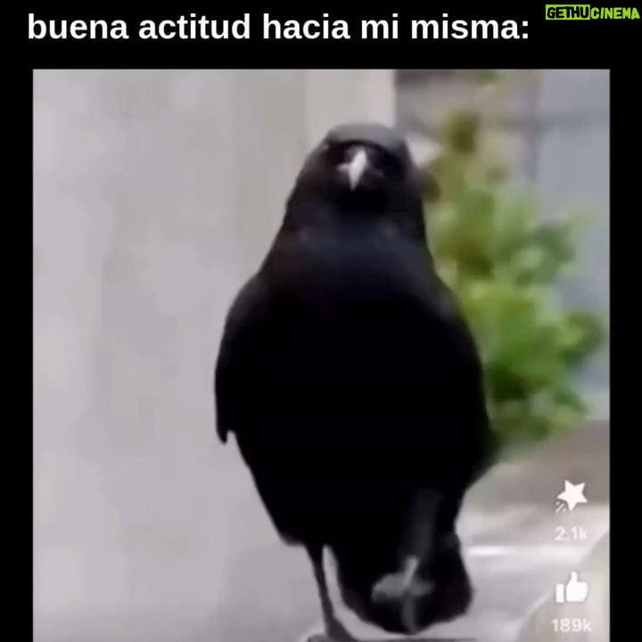 María Carámbula - 3 Likes - Feliz martecito per tutti 🌸😘