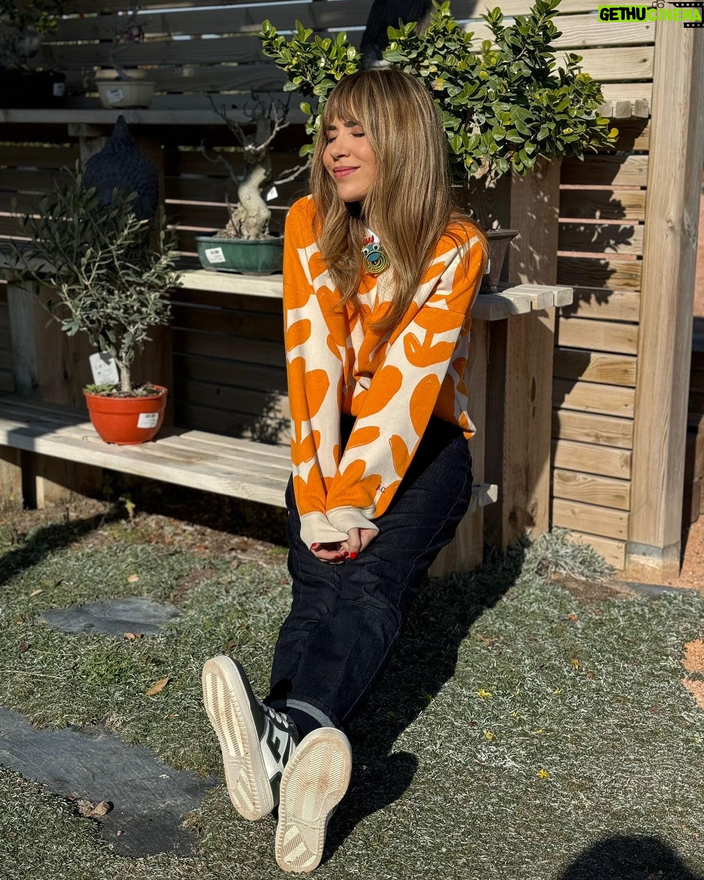 María Gómez - 720 Likes - 🌱 Et vas perdre el capítol d’ahir de #VadeVerd amb @maria.gomezg? Si vols saber com cuidar bé de les teves plantes i que mai et diguin “mataplantes”, ja està disponible!
📲 Recupera’l sencer a rtveplay.cat