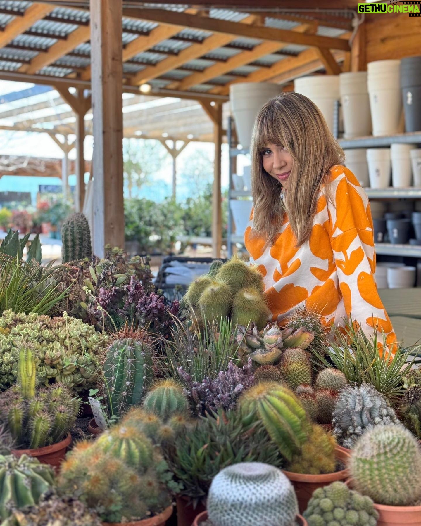 María Gómez - 720 Likes - 🌱 Et vas perdre el capítol d’ahir de #VadeVerd amb @maria.gomezg? Si vols saber com cuidar bé de les teves plantes i que mai et diguin “mataplantes”, ja està disponible!
📲 Recupera’l sencer a rtveplay.cat