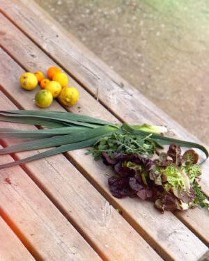 María Gómez Instagram - Comença #VadeVerd 🌿 @la2_tve 
[ Hoy salud y plantas ] 14.15h
🪡 @cover.noir 👩🏻‍🌾 @capitandenim