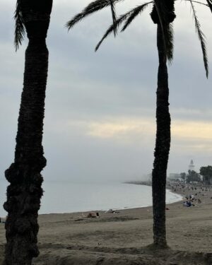 María Gómez Instagram - Marzo ~ Málaga ~ Temp. agua 18° ~ Calima
[Cronología del primer baño de la temporada]