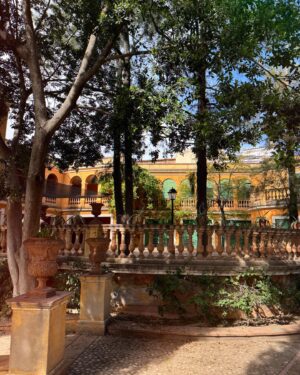 María Gómez Instagram - Comença #VadeVerd 🌿 @la2_tve 
[ Hoy salud y plantas ] 14.15h
🪡 @cover.noir 👩🏻‍🌾 @capitandenim