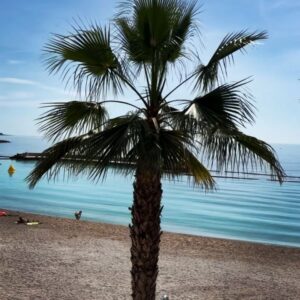 Maria Ho Instagram - Sights and sounds from Monaco. 

#poker #travel #views #gamer