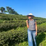 Maria Bekatorou Instagram - Φυτείες τσαγιού στο Chiang Mai #teaplantation #chiangmai #happytraveller #blessed #thankful #thailandtravel #chouifong