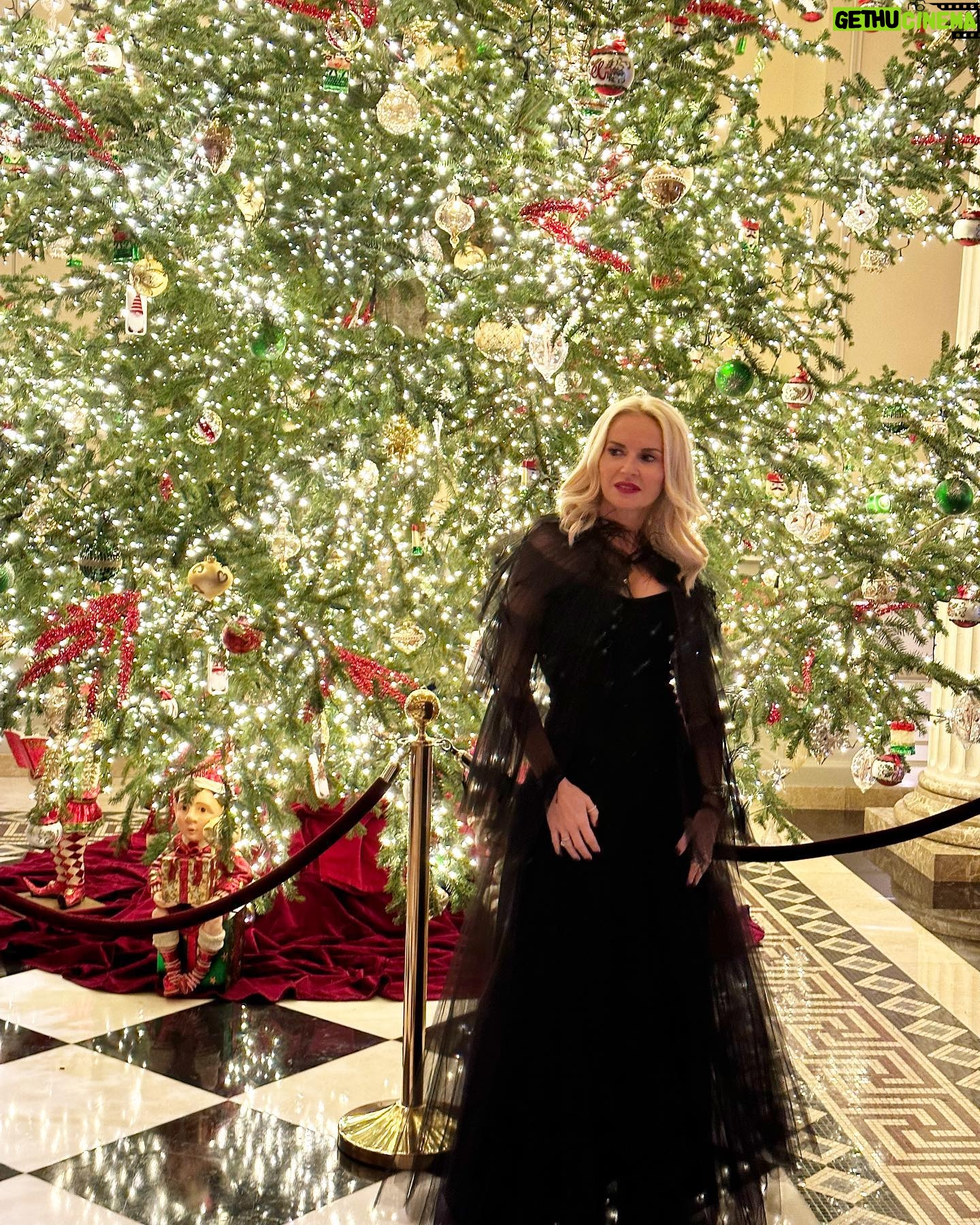 Maria Bekatorou - 8.6K Likes - And so the story goes… @mirodesigners #blessed #weddingvibes #christmasmood #lavieestbelle