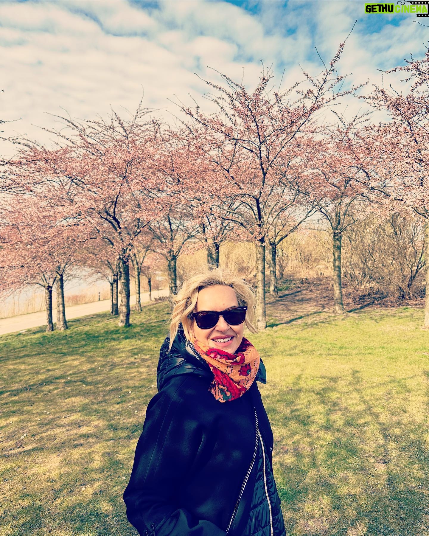 Maria Bekatorou - 11.3K Likes - Χριστός Ανέστη 🌟Υγεία,χαρές,χαμόγελα,φωτεινές σκέψεις!Και του χρόνου να είμαστε καλά και να ανταλάσσουμε τις πιο ωραίες ευχές 💫 #blessed #thankful #positivequotes #copenhagen #happytraveler