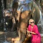 Maria Bekatorou Instagram - Αγαπηθήκαμε,ήρθαμε πιο κοντά και την έκανα και μπανάκι #animalovers #blessed #thankful #happytraveller #elephantlove