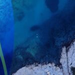 Maria Bekatorou Instagram - Συμμετέχω,με μεγάλη χαρά,στην ενημερωτική εκστρατεία της Ελληνικής Πνευμονολογικής Εταιρείας…Γιατί «όλοι έχουμε πνευμόνια!Πνευμονολόγο;» @hellenic_thoracic_society @kostasmadouros @hellasfreedivers @thodores_iakovidis @thanassisvassilopoulos