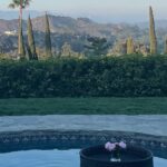 Maria Bello Instagram - Home is good. Peonies only come once a year between mid May and end of June. $8.99 for 5 stems @traderjoes Flowers always make things better.