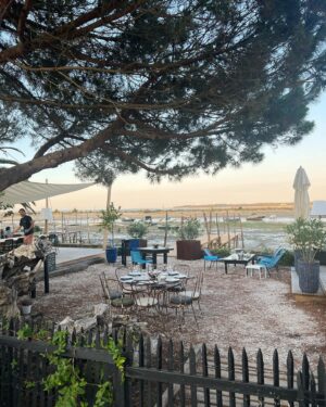 Maria Hering Instagram - Some memories from cap ferret .. 🇫🇷 loved this authentic restaurant.. the oysters and seafood are their specialty, everything fresh caught right in front the ocean 🌊 
Do you like oysters? 
.
#capferret, #makingmemories, #thankyou, #love, #powerofpositivity, #seafood, #roadtrip, #authentic, #believe