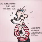Maria Hering Instagram - It’s so good to be right 😅🙌 🐶.. #dogsarethebest, #enjoythemoment, #belltout, #thirdtrimester, #pregnancy, #love, #thankyou